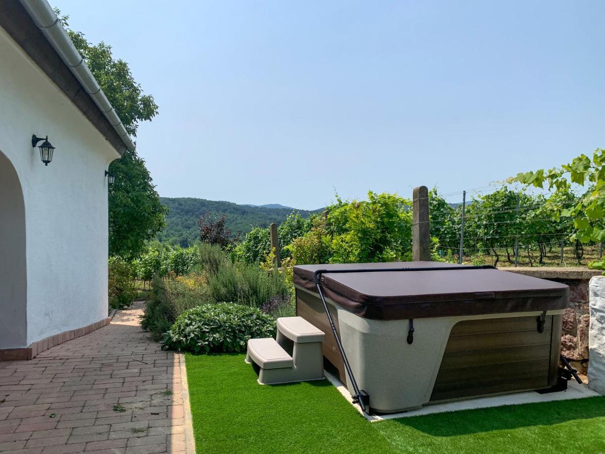 Mindszentkálla Kali Panorama Birtokヴィラ エクステリア 写真